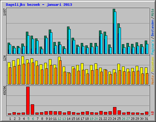 Dagelijks bezoek - januari 2013
