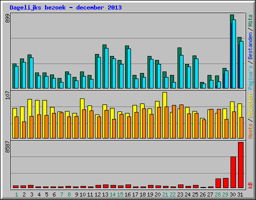 Dagelijks bezoek - december 2013