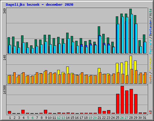 Dagelijks bezoek - december 2020